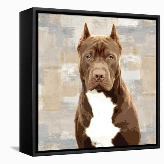 Pit Bull-Keri Rodgers-Framed Stretched Canvas