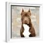 Pit Bull-Keri Rodgers-Framed Art Print