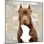 Pit Bull-Keri Rodgers-Mounted Art Print