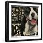 Pit Pat-Judy Verhoeven-Framed Art Print