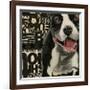 Pit Pat-Judy Verhoeven-Framed Premium Giclee Print