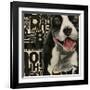 Pit Pat-Judy Verhoeven-Framed Art Print