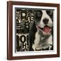 Pit Pat-Judy Verhoeven-Framed Art Print