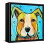 Pit Puppy-Karrie Evenson-Framed Stretched Canvas