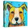 Pit Puppy-Karrie Evenson-Stretched Canvas