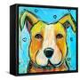Pit Puppy-Karrie Evenson-Framed Stretched Canvas