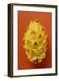 Pitahaya on Red Background-Foodcollection-Framed Photographic Print