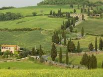 Road from Pienza to Montepulciano, Monticchiello, Val D'Orcia, Siena Province, Tuscany, Italy-Pitamitz Sergio-Photographic Print