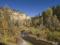 Elk, Firehole River, Yellowstone National Park, UNESCO World Heritage Site, Wyoming, USA-Pitamitz Sergio-Photographic Print