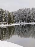 Yellowstone River in Winter, Yellowstone National Park, UNESCO World Heritage Site, Wyoming, USA-Pitamitz Sergio-Photographic Print