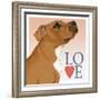 Pitbull Love-Tomoyo Pitcher-Framed Giclee Print