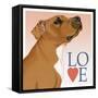 Pitbull Love-Tomoyo Pitcher-Framed Stretched Canvas