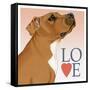 Pitbull Love-Tomoyo Pitcher-Framed Stretched Canvas