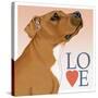 Pitbull Love-Tomoyo Pitcher-Stretched Canvas