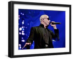 Pitbull-null-Framed Photo