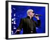 Pitbull-null-Framed Photo