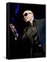 Pitbull-null-Framed Stretched Canvas