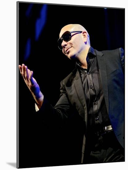 Pitbull-null-Mounted Photo