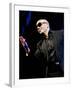 Pitbull-null-Framed Photo