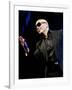 Pitbull-null-Framed Photo