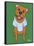 Pitbull-Tomoyo Pitcher-Framed Stretched Canvas