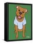 Pitbull-Tomoyo Pitcher-Framed Stretched Canvas