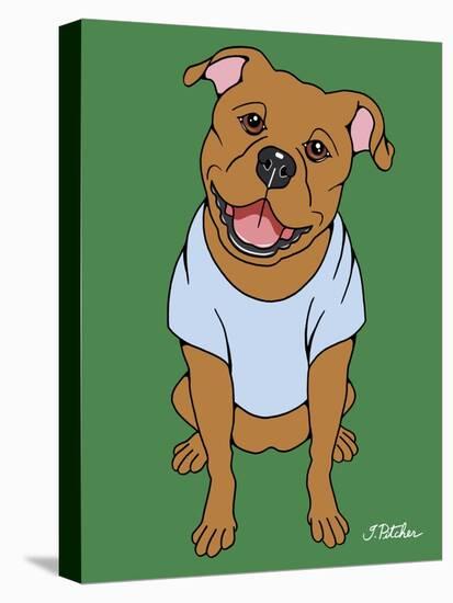 Pitbull-Tomoyo Pitcher-Stretched Canvas