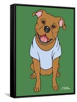 Pitbull-Tomoyo Pitcher-Framed Stretched Canvas