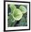 Pitcher Plant-Ken Bremer-Framed Limited Edition