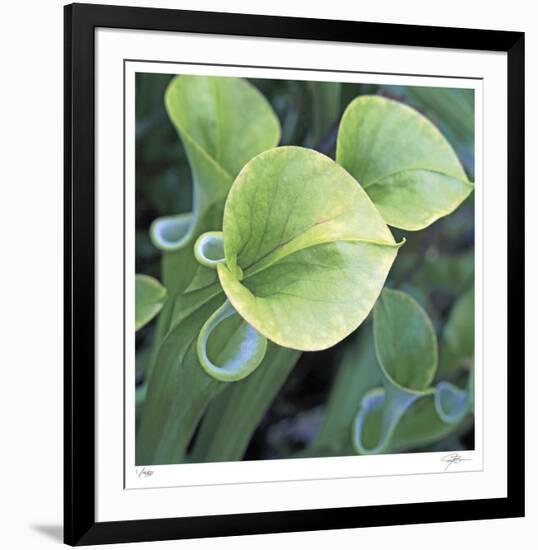 Pitcher Plant-Ken Bremer-Framed Limited Edition