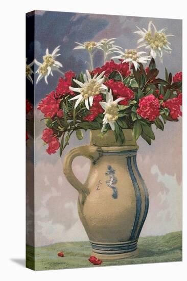 Pitcher Used as Flower Vase-null-Stretched Canvas