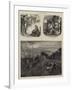 Pits and Pitmen-Matthew White Ridley-Framed Giclee Print