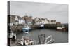 Pittenweem Harbour, Fife Coast, Scotland, United Kingdom-Nick Servian-Stretched Canvas