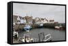 Pittenweem Harbour, Fife Coast, Scotland, United Kingdom-Nick Servian-Framed Stretched Canvas