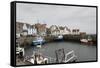 Pittenweem Harbour, Fife Coast, Scotland, United Kingdom-Nick Servian-Framed Stretched Canvas