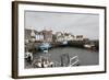 Pittenweem Harbour, Fife Coast, Scotland, United Kingdom-Nick Servian-Framed Photographic Print