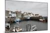 Pittenweem Harbour, Fife Coast, Scotland, United Kingdom-Nick Servian-Mounted Photographic Print