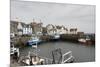 Pittenweem Harbour, Fife Coast, Scotland, United Kingdom-Nick Servian-Mounted Photographic Print