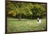 Pittsburg, PA. USA. Fall on the Farm-Julien McRoberts-Framed Photographic Print