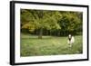 Pittsburg, PA. USA. Fall on the Farm-Julien McRoberts-Framed Photographic Print