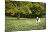 Pittsburg, PA. USA. Fall on the Farm-Julien McRoberts-Mounted Photographic Print