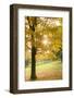 Pittsburg, PA. USA. Fall on the Farm-Julien McRoberts-Framed Photographic Print