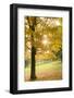 Pittsburg, PA. USA. Fall on the Farm-Julien McRoberts-Framed Photographic Print