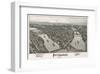 Pittsburgh, Pennsylvania, 1902-T^M^ Fowler-Framed Art Print