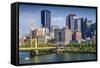 Pittsburgh, Pennsylvania, USA Daytime Downtown Scene over the Allegheny River.-SeanPavonePhoto-Framed Stretched Canvas