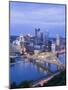 Pittsburgh Skyline and Fort Pitt Bridge over the Monongahela River, Pittsburgh, Pennsylvania, Unite-Richard Cummins-Mounted Photographic Print