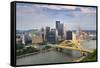 Pittsburgh Skyline during Late Afternoon-Gino Santa Maria-Framed Stretched Canvas