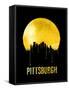 Pittsburgh Skyline Yellow-null-Framed Stretched Canvas