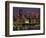 Pittsburgh Skyline-Gene J. Puskar-Framed Photographic Print