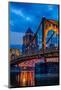 Pittsburgh Skyline-Steven Maxx-Mounted Photographic Print